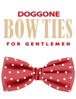 PageLines- doggone_bowties_memphis_new.png